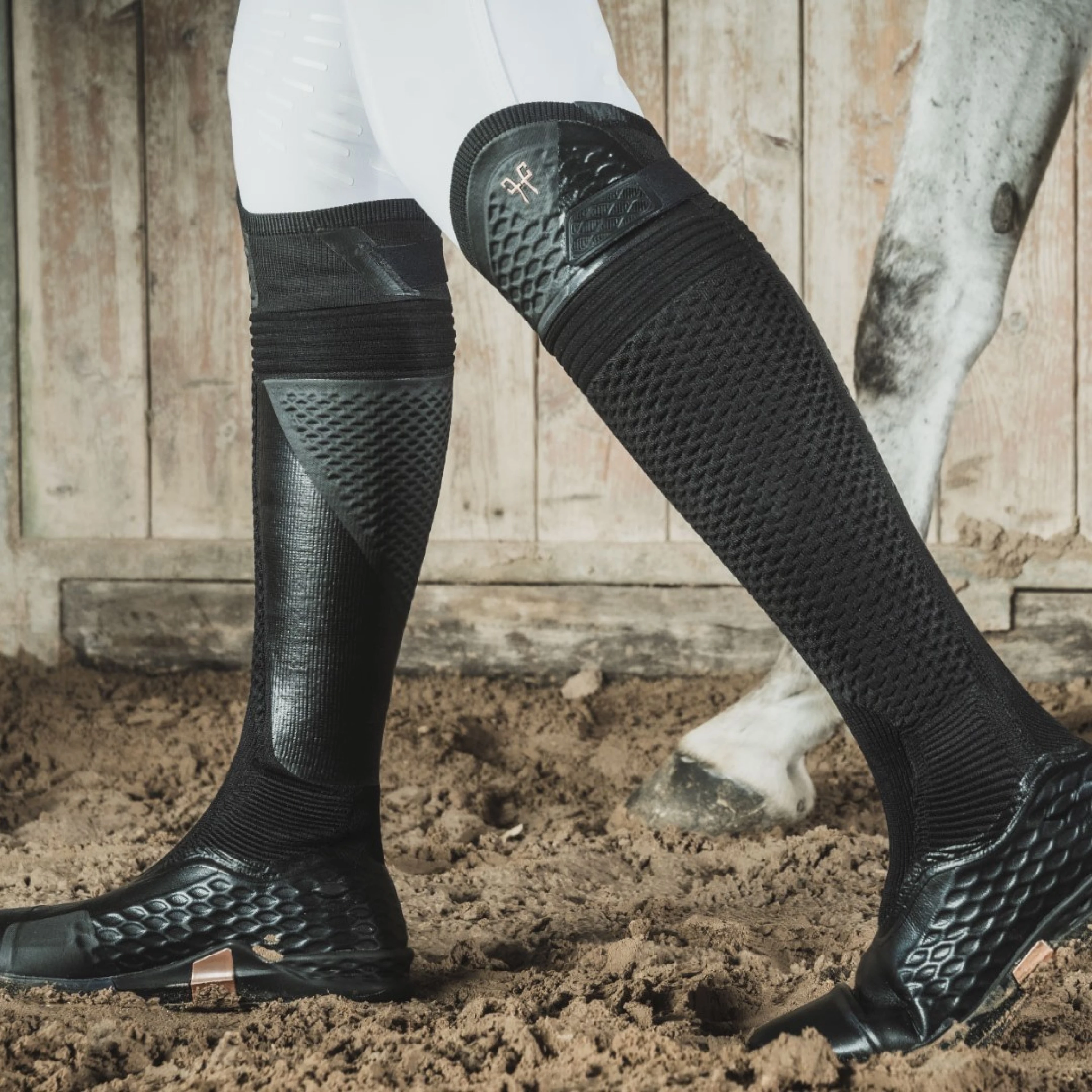 illustration du projet Horse Pilot