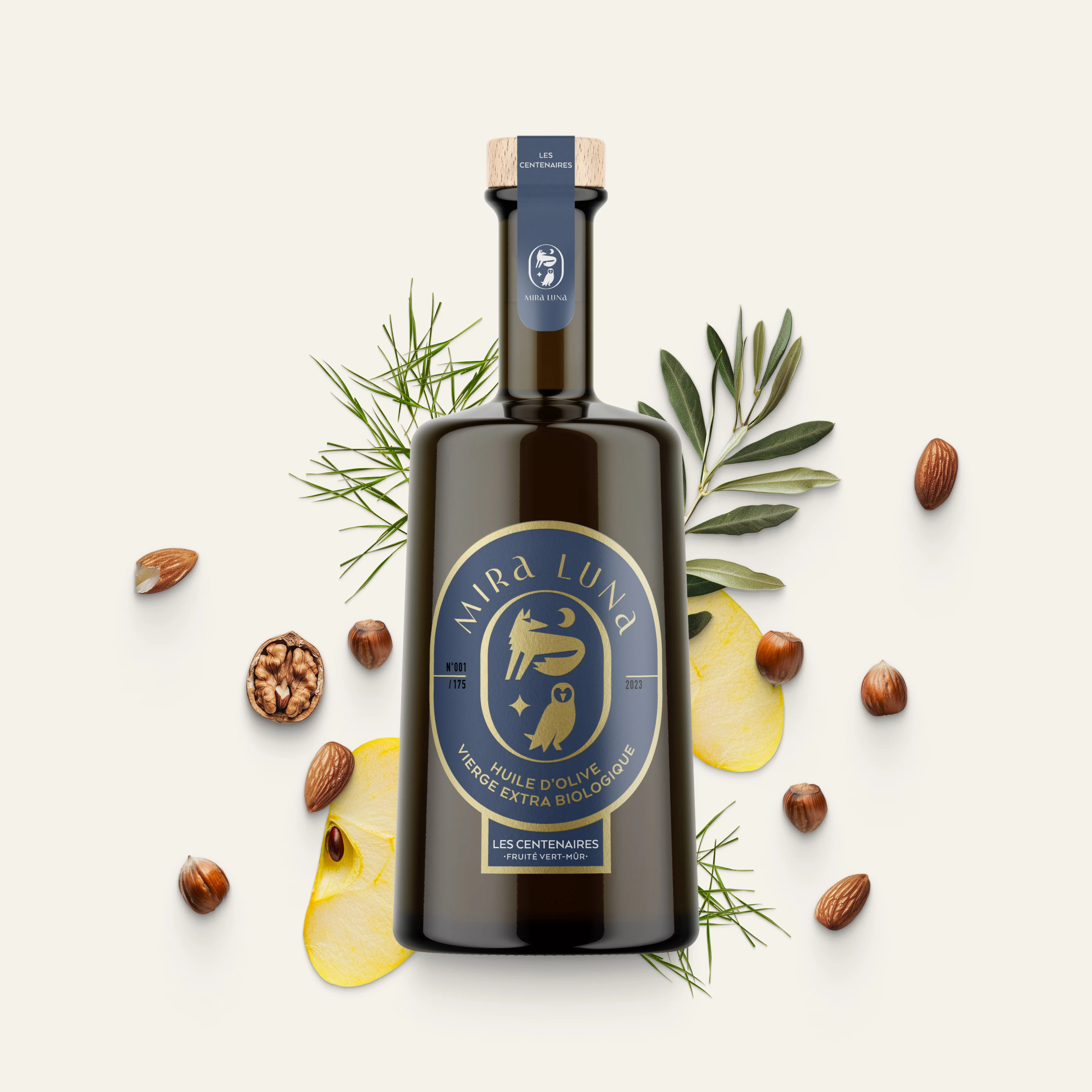 illustration du projet Mira Luna