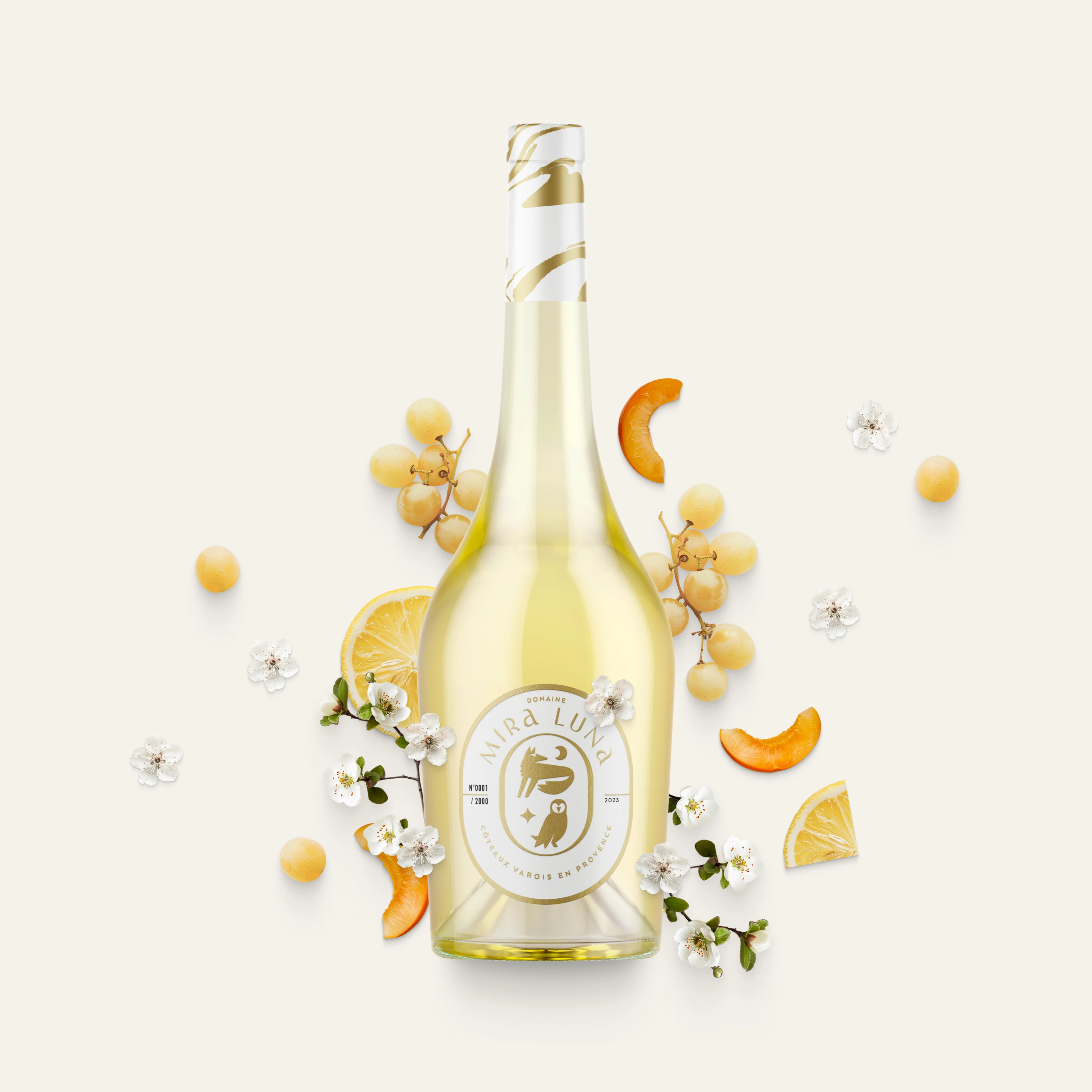 illustration du projet Mira Luna