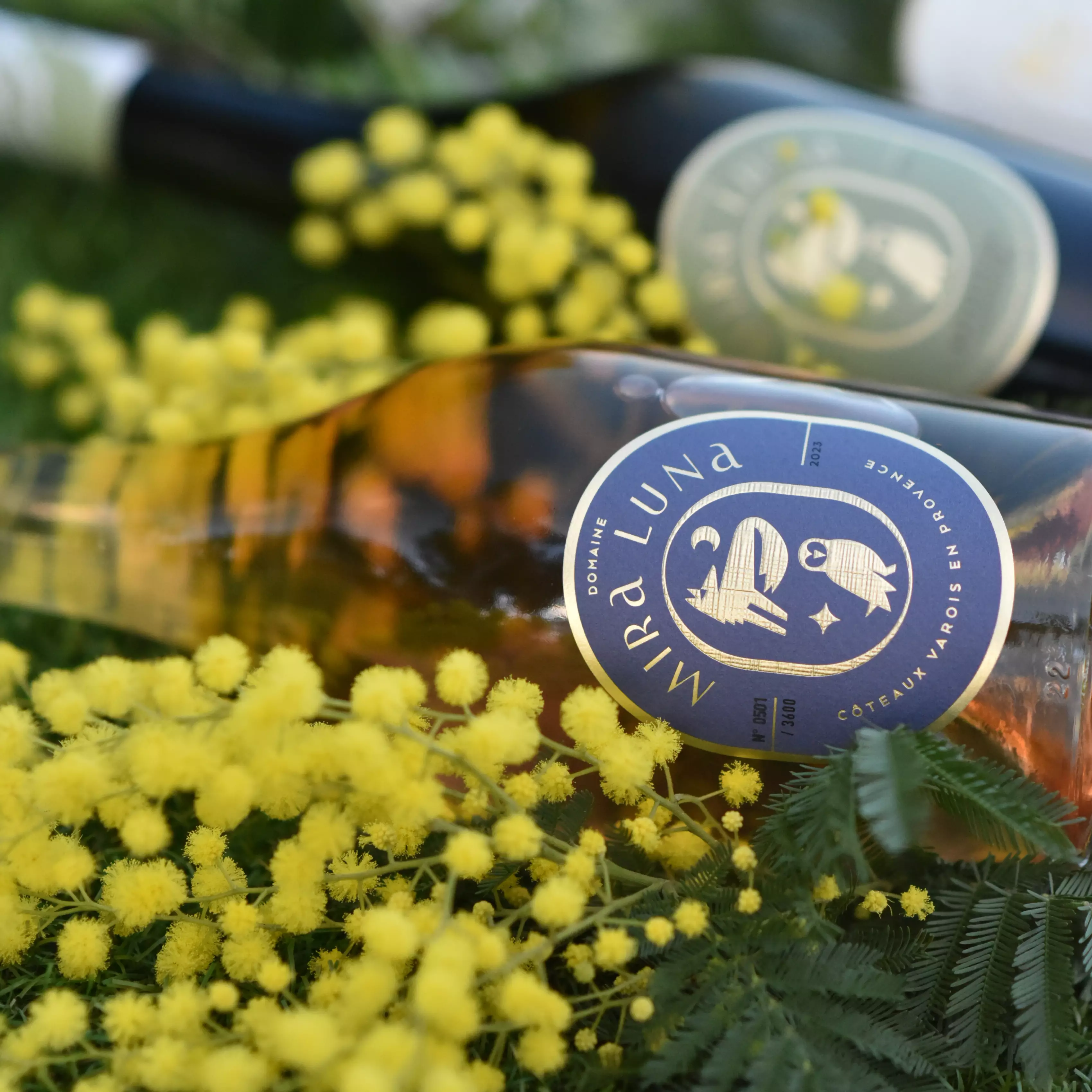 illustration du projet Mira Luna