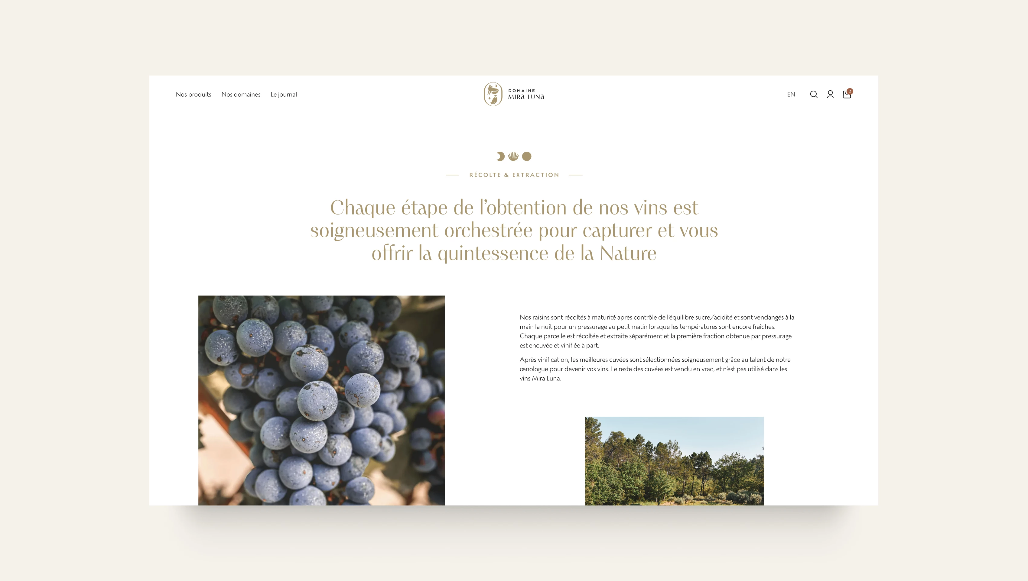 illustration du projet Mira Luna