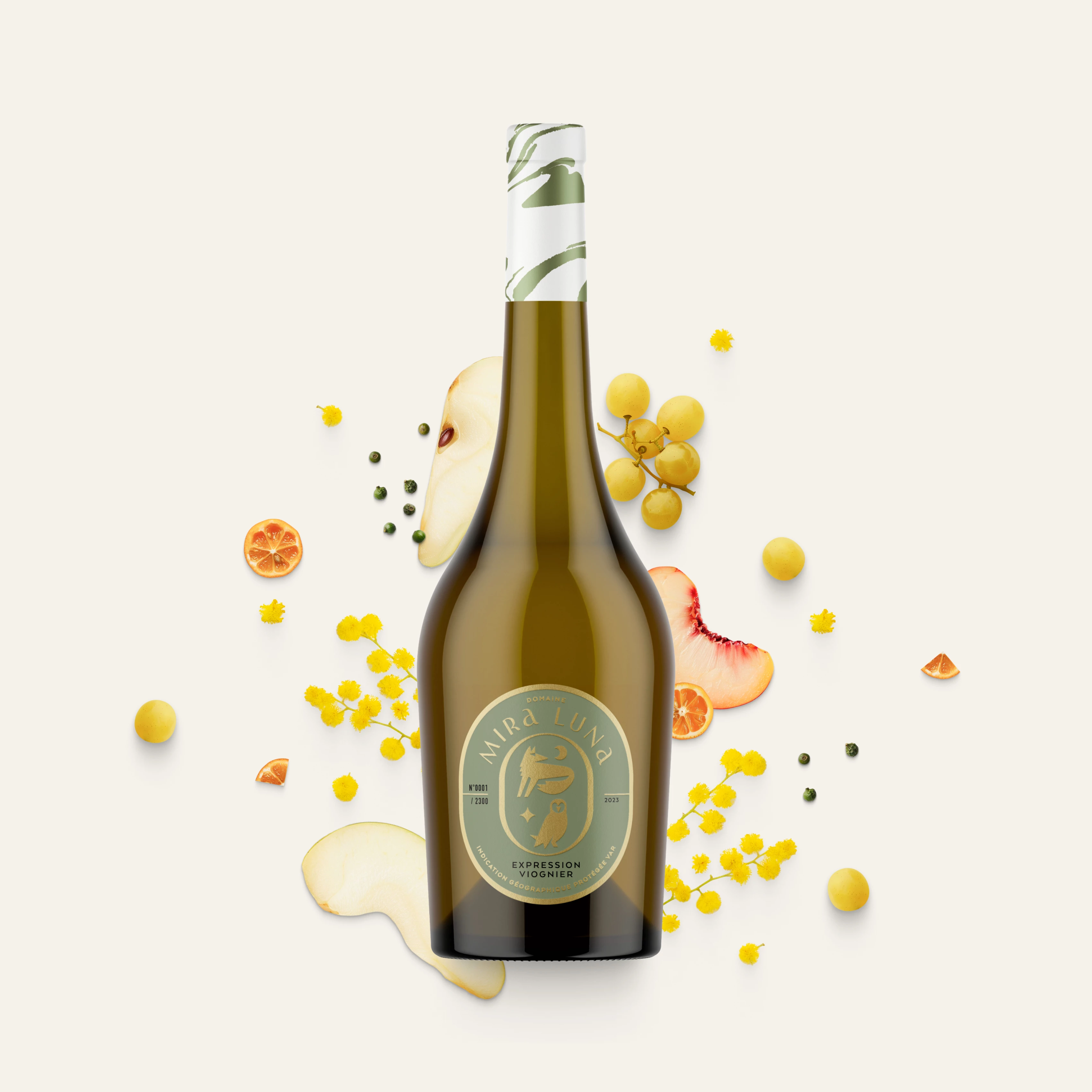 illustration du projet Mira Luna