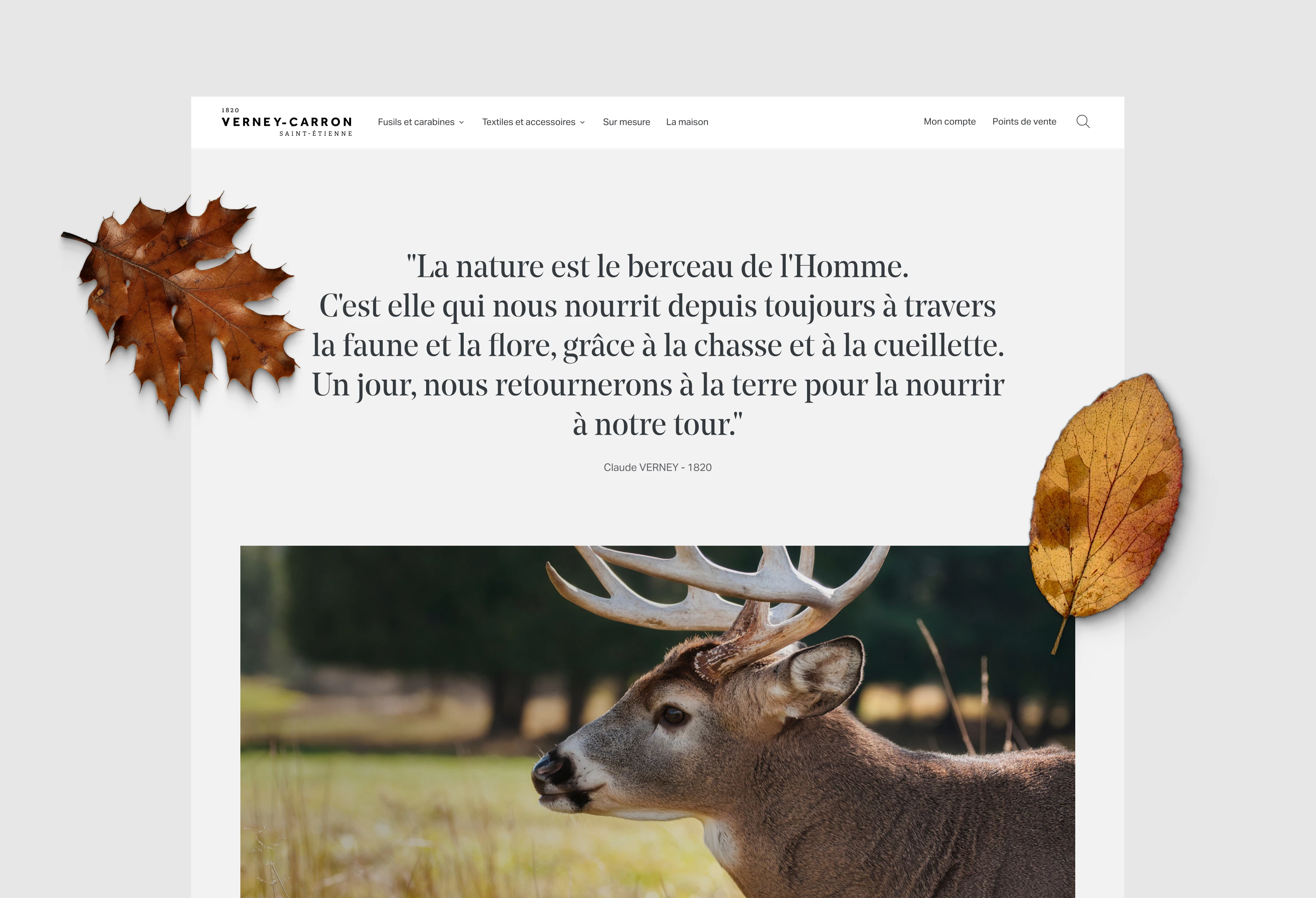 illustration du projet Verney Carron