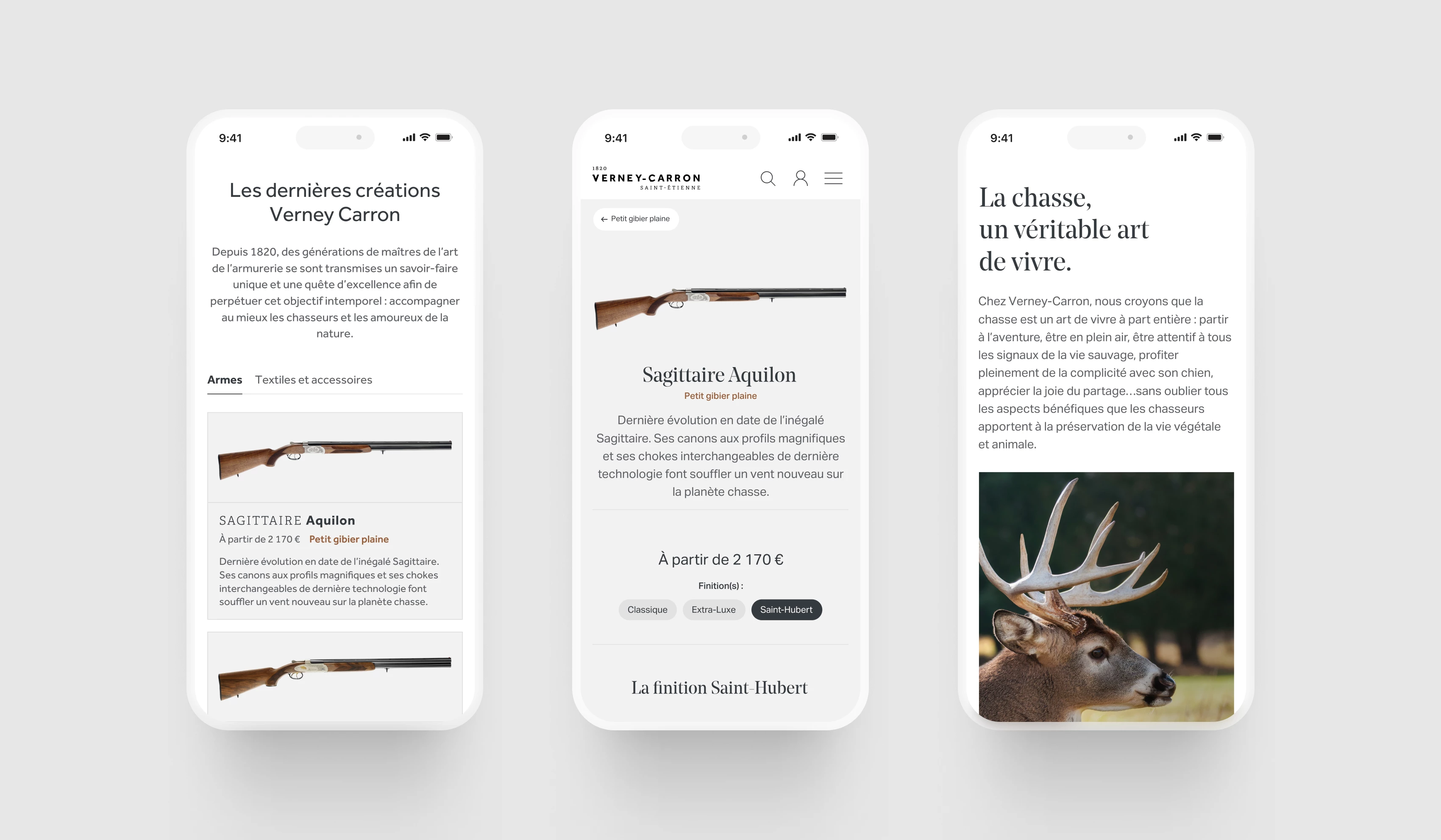 illustration du projet Verney Carron